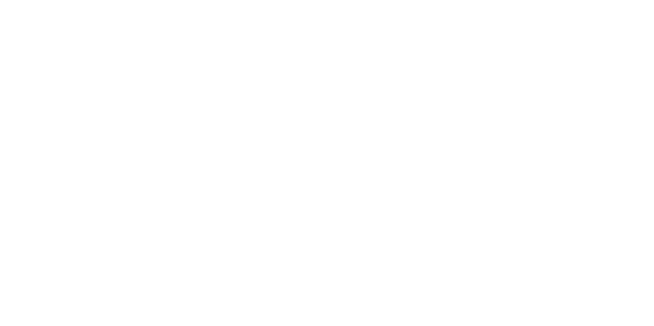 Palazzio Engenharia